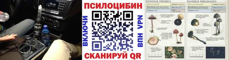 Галлюциногенные грибы прущие грибы  Пласт 